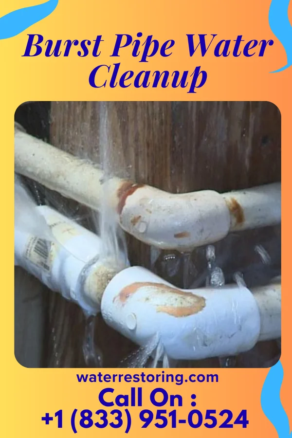 Burst Pipe Water Cleanup in Hampden-Sydney, VA