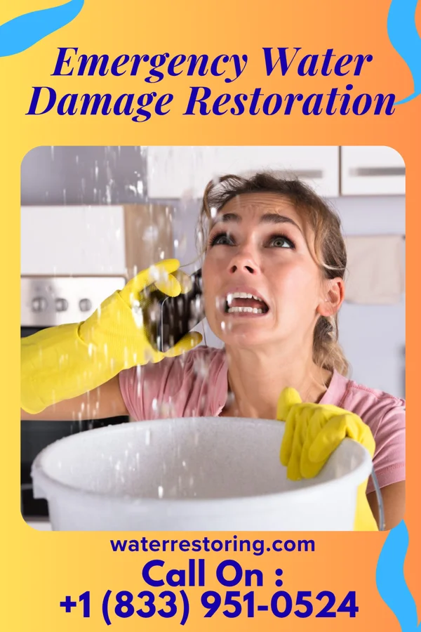 Emergency Water Damage Restoration in Hampden-Sydney, VA