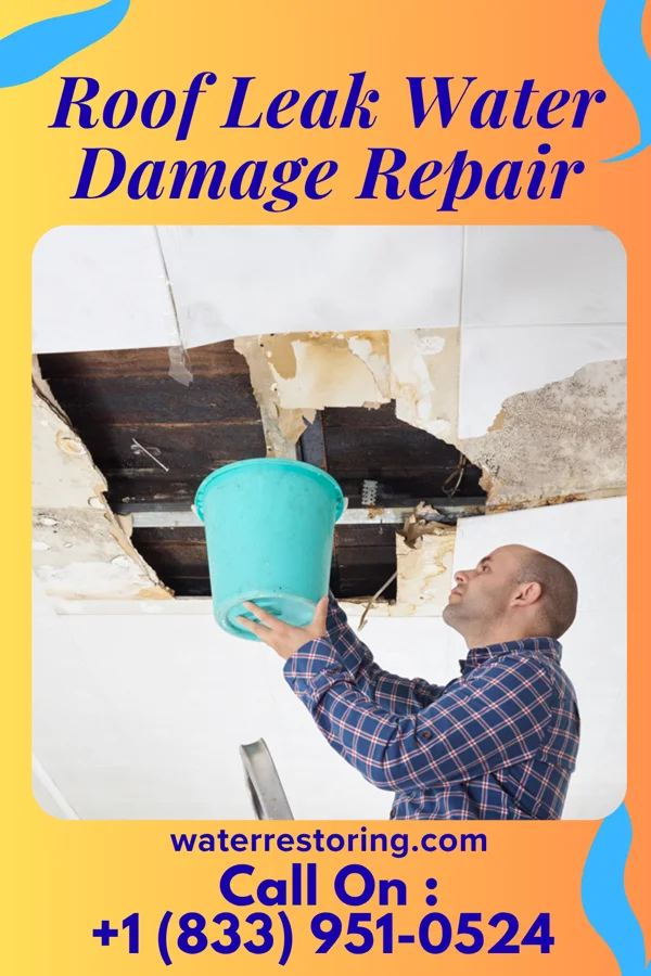 Roof Leak Water Damage Repair in Hampden-Sydney, VA