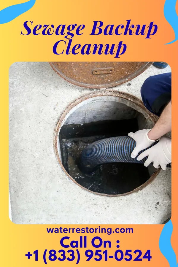 Sewage Backup Cleanup in Hampden-Sydney, VA
