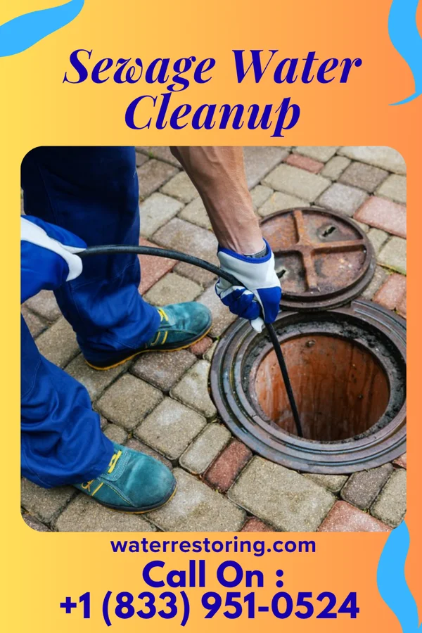 Sewage Water Cleanup in Hampden-Sydney, VA